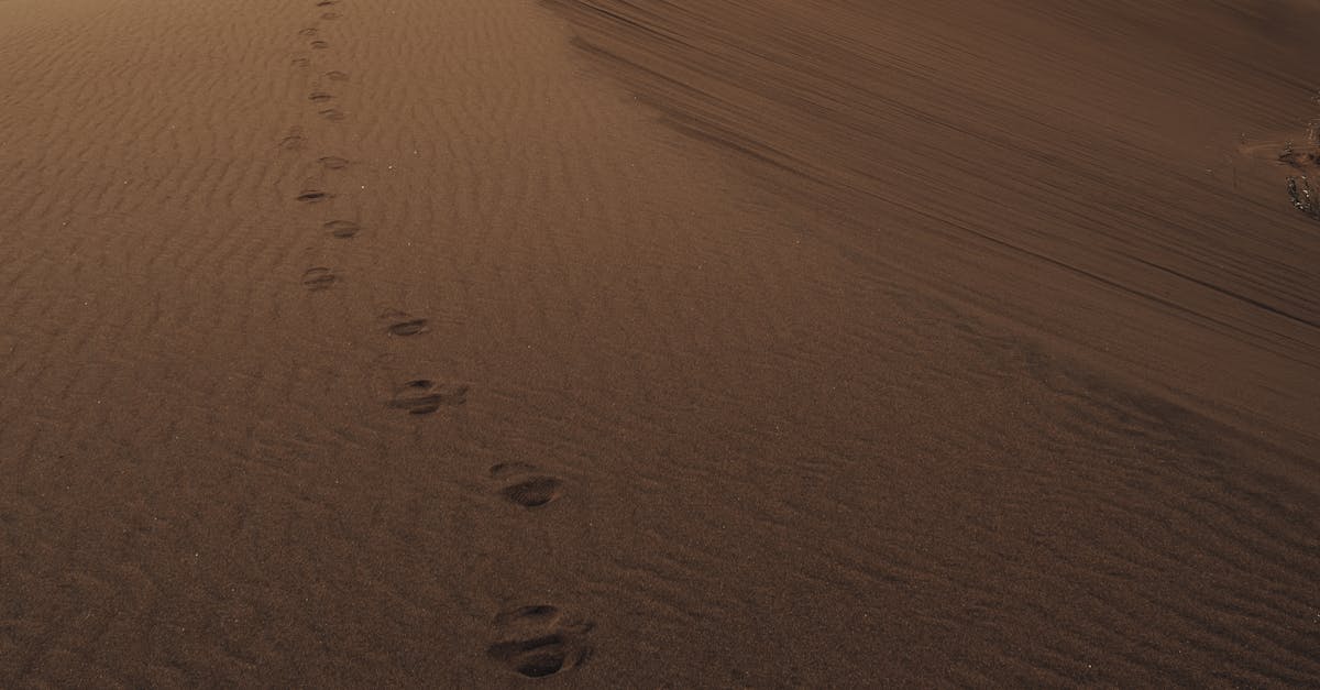 Quelle est la vitesse maximale d'un buggy ?